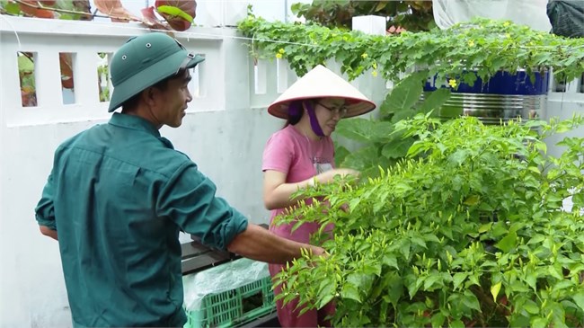 Xây dựng huyện đảo Trường Sa thành trung tâm kinh tế, văn hóa, xã hội trên biển (24/3/2023)